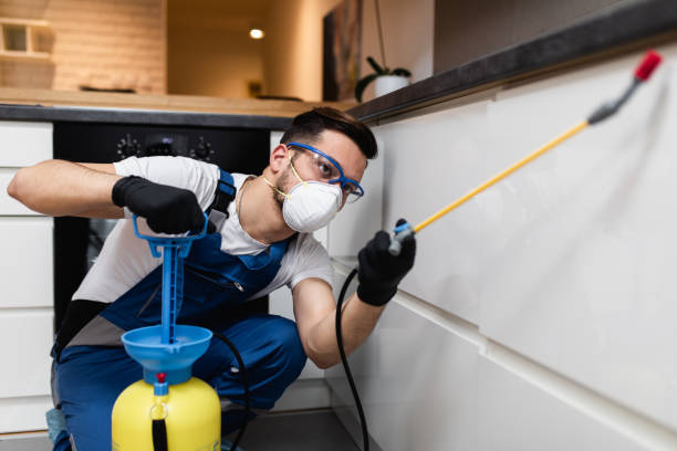 Best Wasp Removal Services  in Gervais, OR