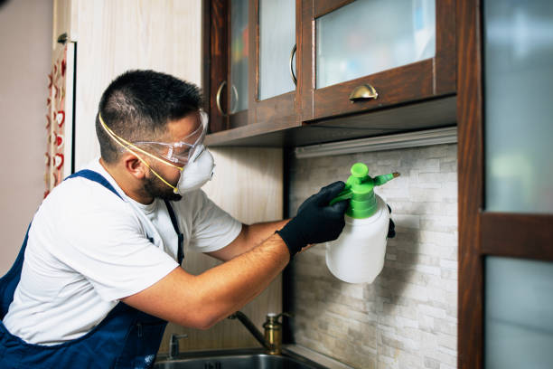Best Emergency Pest Control  in Gervais, OR