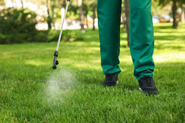 Best Pest Control Near Me  in Gervais, OR