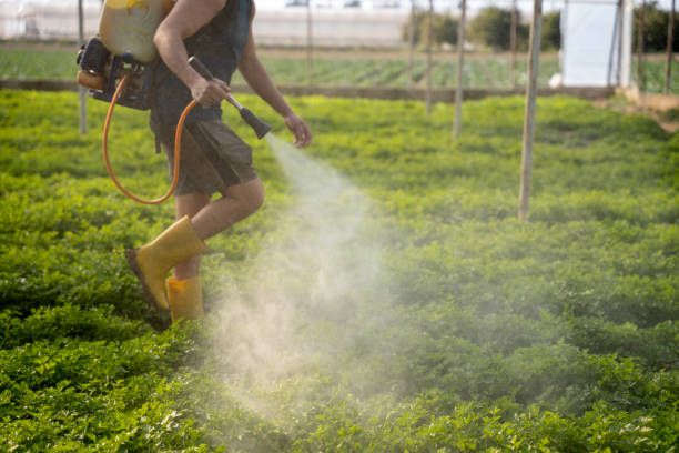 Best Pest Removal Services  in Gervais, OR
