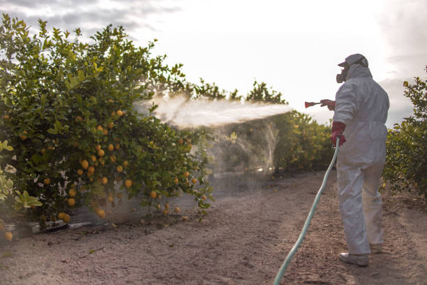 Best Affordable Pest Control Services  in Gervais, OR