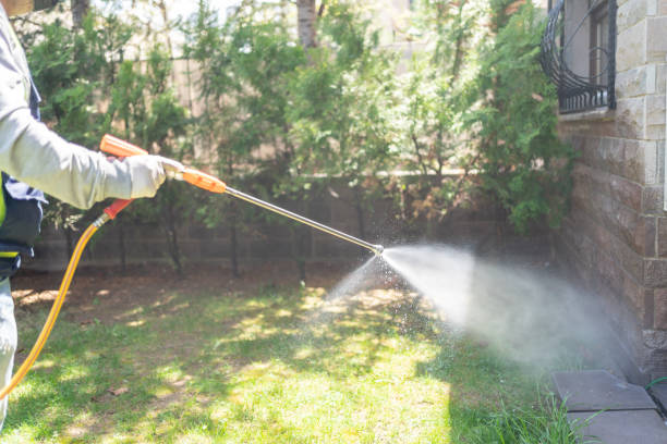 Best Wasp Removal Services  in Gervais, OR