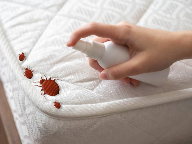 Professional Pest Control in Gervais, OR