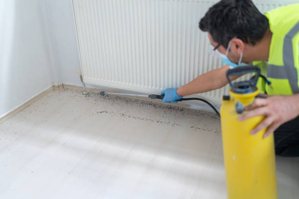 Best Affordable Exterminators  in Gervais, OR