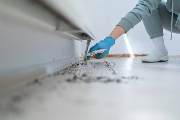 Gervais, OR Pest Control Company