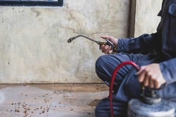 Best Local Pest Control Services  in Gervais, OR